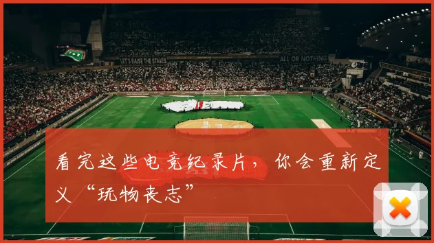 看完这些电竞纪录片,你会重新定义“玩物丧志”